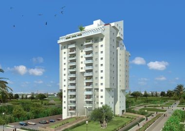 shviro22811