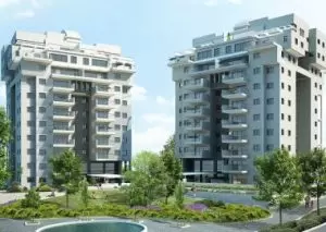 almog61111