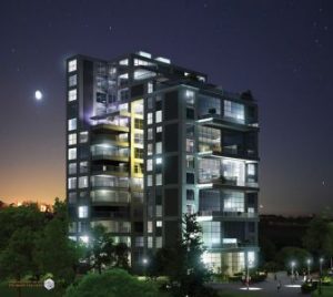 mizrahi24612
