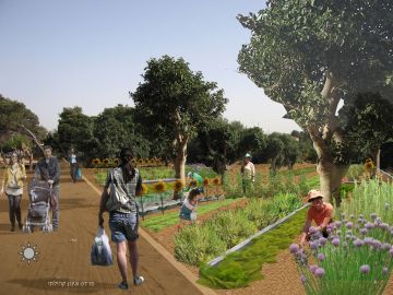 הדמיה עיריית תל אביב park23313