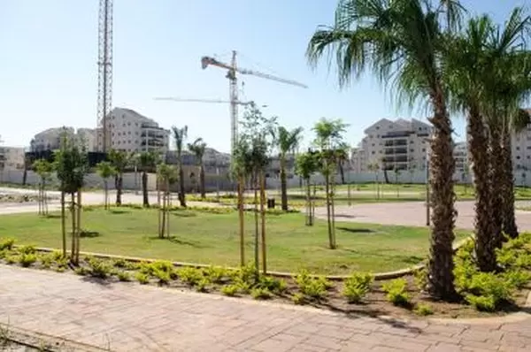 הפארק המרכזי בשכונת הזמר העברי צילום איתמר סיידא gkfs20214